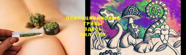 прущая мука Армянск