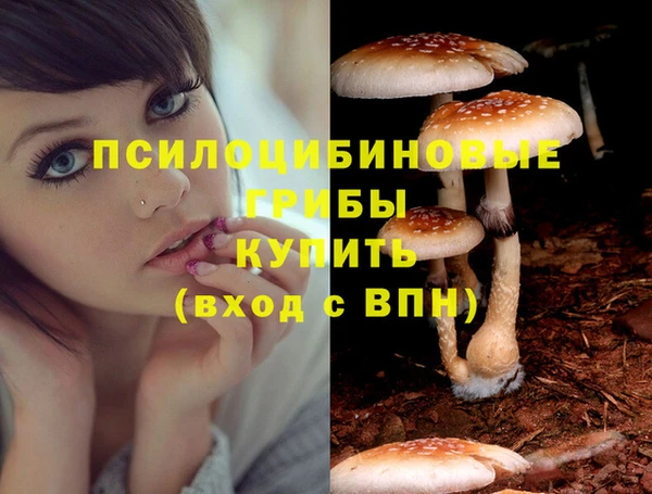 прущая мука Армянск