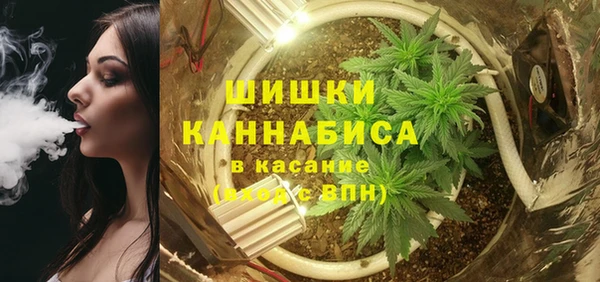 эйфоретик Аркадак