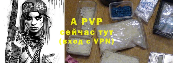 эйфоретик Аркадак